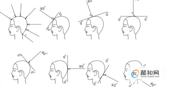 ��ѧ�������ż�������